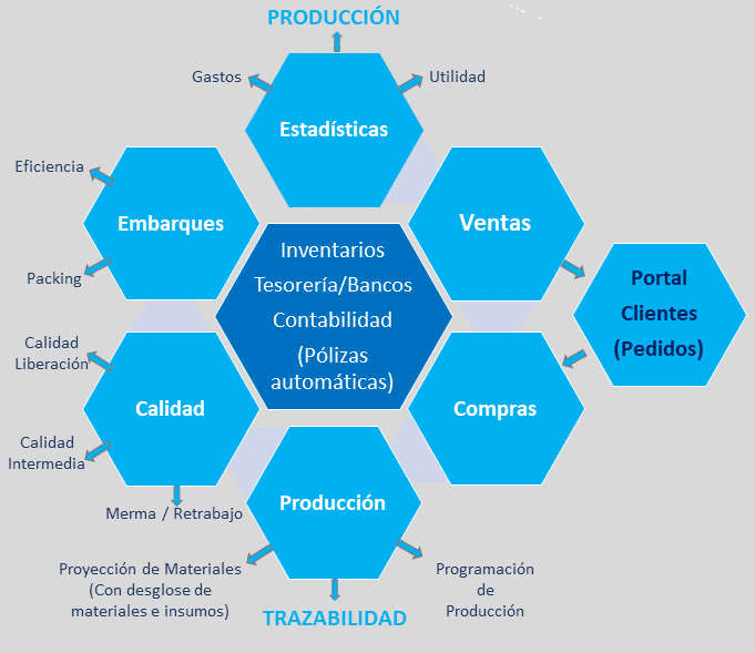 ERP TST Digital SLP